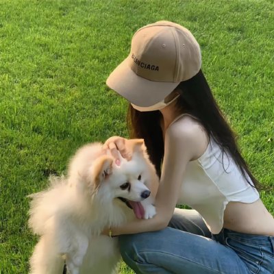萌犬偷渡记